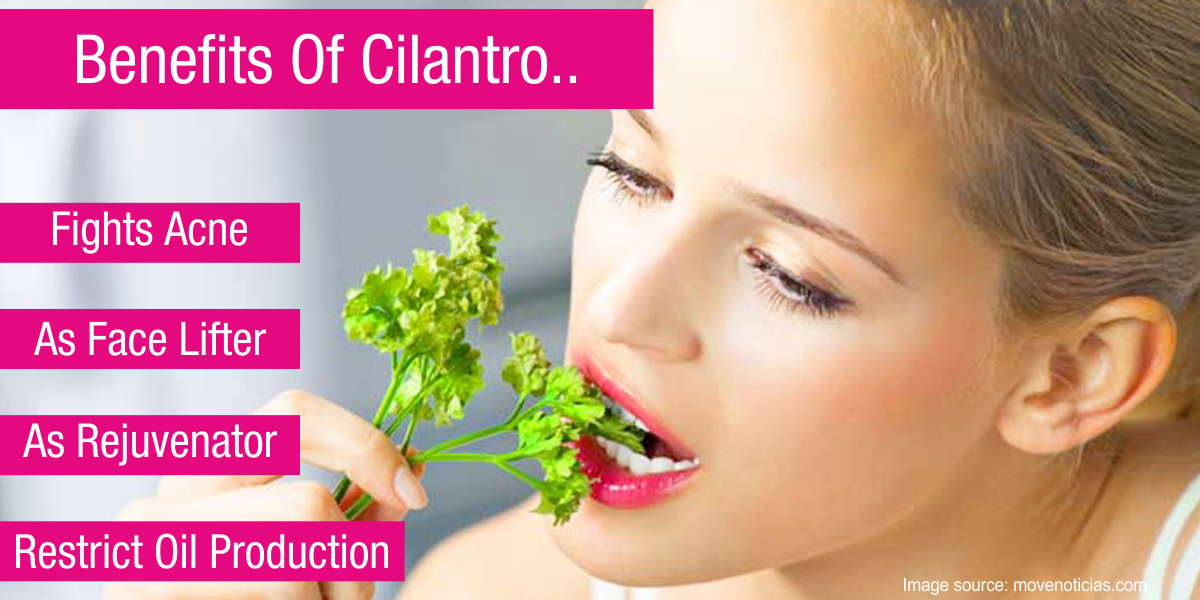 4 WAYS TO USE CILANTRO FOR YOUR SKINCARE Inveda