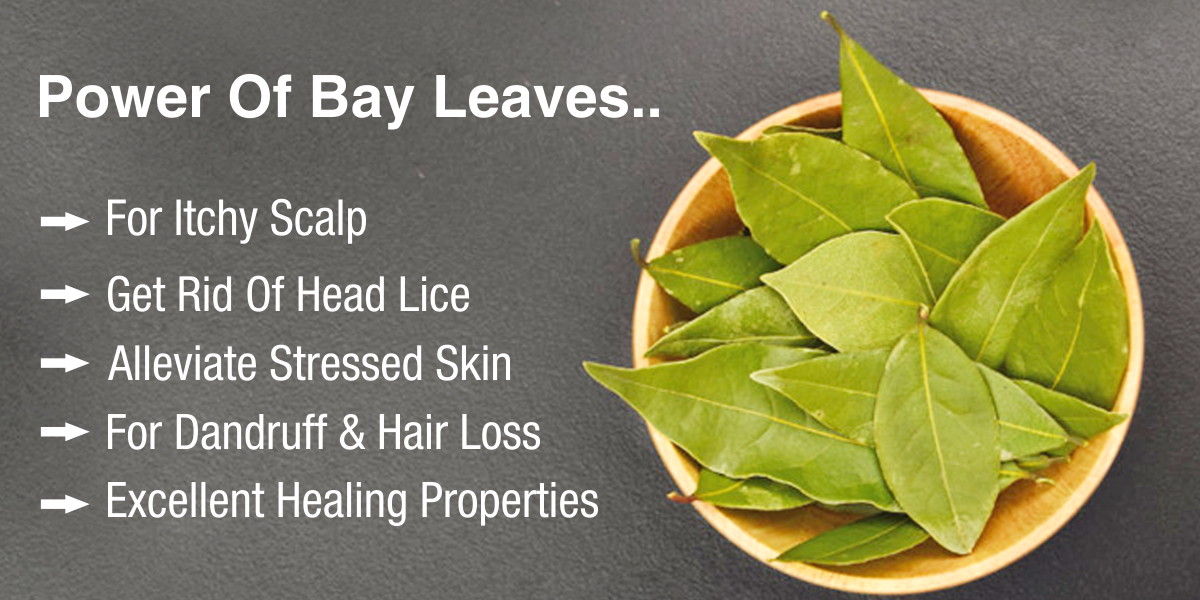 Benefits of Guava Leaves for Healthy, Strong Hair - HK Vitals