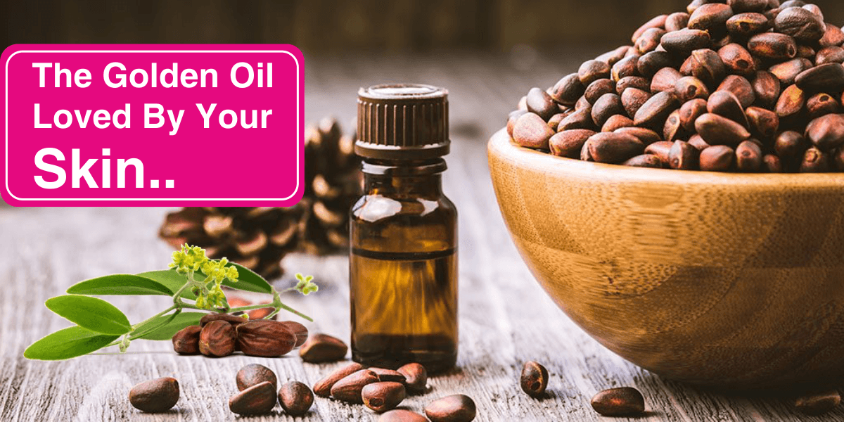 JOJOBA OIL- SOLUTION TO ALL YOUR HAIR AND SKIN PROBLEM - Inveda