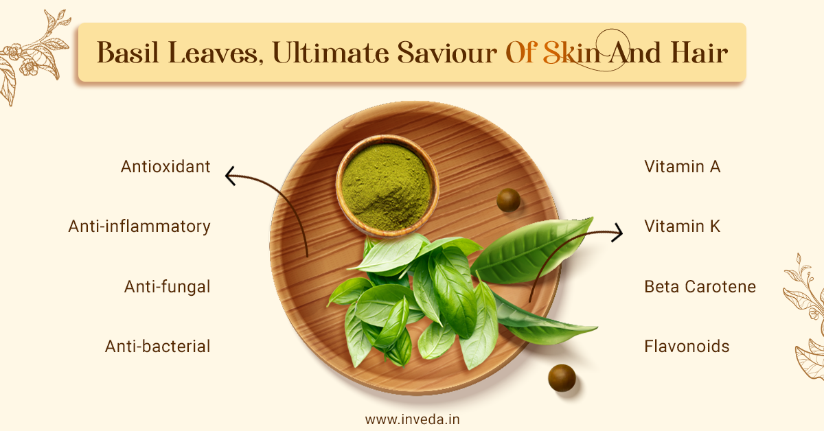 Basil Skin Benefits at Christian Brown blog