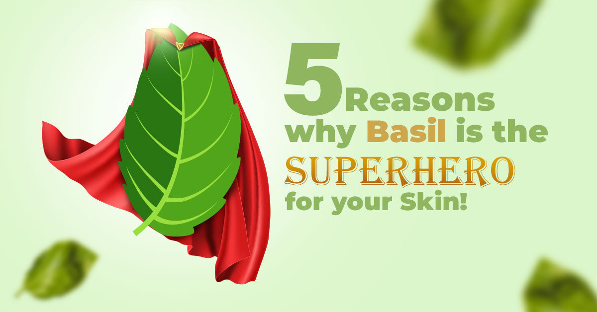 5 Reasons why Basil leaves for skin is the Superhero for your Skin