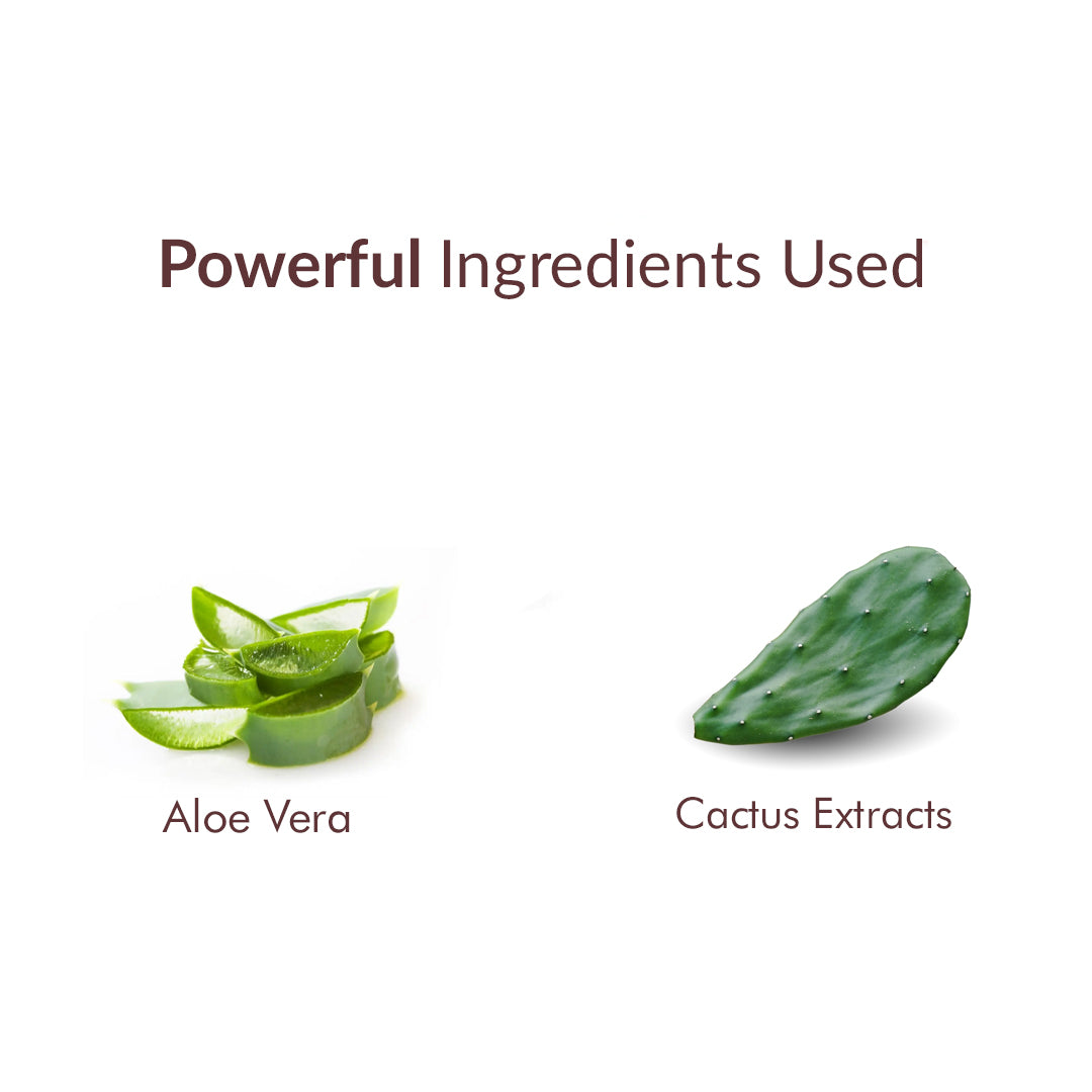 Aloe Fresh Hydrating Gel with Cactus Extracts